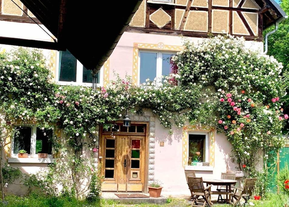 Appartamento Kleine Kunstremise Mit Holzofen Burg Freienfels Weinbach Esterno foto